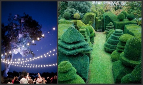 central-coast-winery-with-string-lights-and-topiary-garden