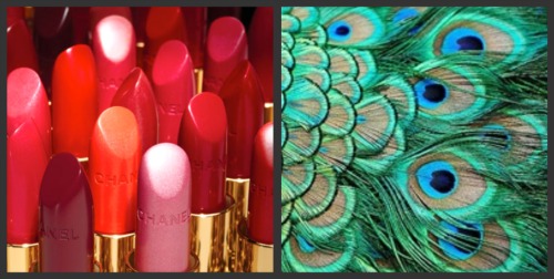 chanel-lipstick-peacock-feathers