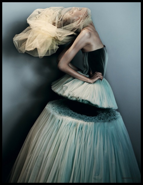 viktor-and-rolf-tulle-cut-out-gown
